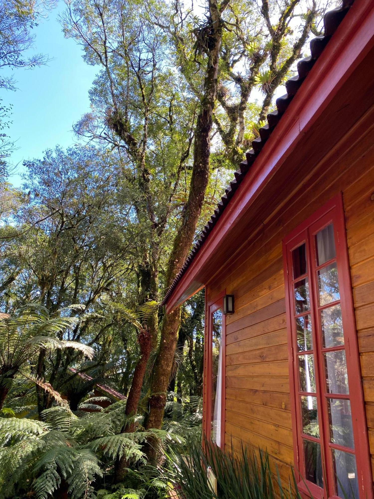 Boutique Bangalos De Sao Chico Chalet *